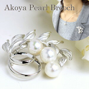 p[u[`i6486j AR^ 8.0`8.5mm SV Vo[ RT[W  w Ǝ tH[}  T p[eB[ ̓ 