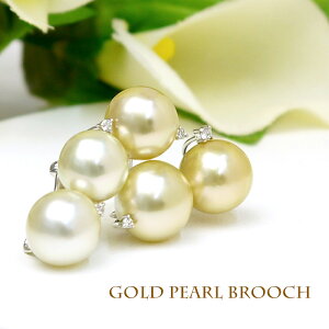 p[ u[`i6504j^ S[hp[ 10.0`11.5mm K18WG _C RT[W w Ǝ  p[eB[ v[g ̓ 