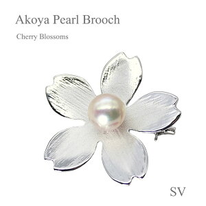 p[ u[`i6570jAR^ 8.0mm RT[W  Vo[ w Ǝ  p[eB[ v[g ̓ 