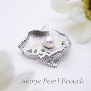 p[ u[`i6620jAR^ 8.0mm SV Vo[ RT[W w Ǝ tH[} T Zj[  uC_ p[eB[ ̓ 