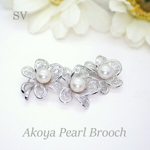 p[ u[`i6625jAR^ 8.0mm SV Vo[ RT[W  w Ǝ tH[} T Zj[  uC_ p[eB[ ̓ 