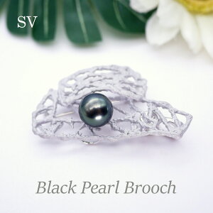 p[ u[` i6628j^ 11.5mm SV Vo[ ^q`p[ ubNp[ RT[W  w Ǝ tH[} T Zj[  uC_ p[eB[ ̓ 