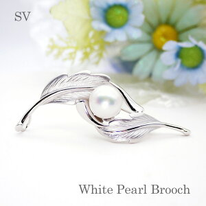 p[ u[`i6656j ^ m^ 12.0mm SV Vo[ [t RT[W w Ǝ tH[} T Zj[  uC_ p[eB[ ̓ 