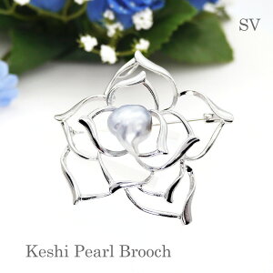 p[ u[`i6659j ^ ^q` PV 13.5×15.0mm SV Vo[ o RT[W w Ǝ tH[} T Zj[  uC_ p[eB[ ̓ 