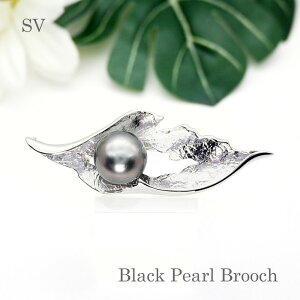 p[ u[` (6660j ^ ^q`^ 13.0mm SV Vo[ y_g [t RT[W w Ǝ tH[} T Zj[  uC_ p[eB[ ̓ 