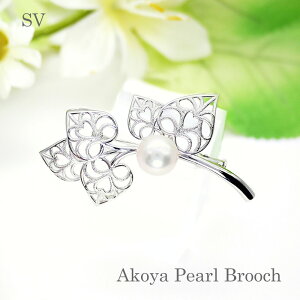 p[ u[`i6661j AR^ 8.5mmUP SV Vo[ RT[W [t w Ǝ tH[} T Zj[  uC_ p[eB[ ̓ 