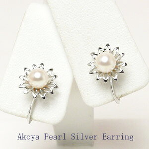 p[ COi4146j AR^ 5.0mm Vo[ w Ǝ  uC_ p[eB[ v[g ̓ i[֔j