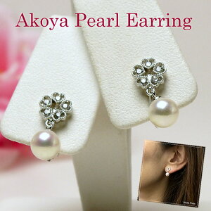 p[ COi4188j AR^ 7.0mm h Vo[ WRjA n[g N[o[ w Ǝ  p[eB[ v[g ̓ 