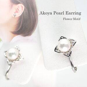 p[ CO (4248jAR^ 5.5mm  fB[X uC_  p[eB[ v[g ̓ 