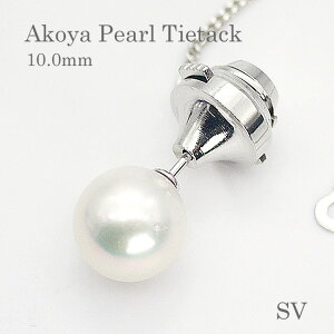 p[ ^C^bNi8367jAR^ 10.0mm ^Cj[s lN^Cs ^Cs Vo[ jp Y  p[eB[ tH[}  ̓ a v[g 