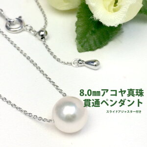 p[ lbNX y_gi3439j AR^ 8.0mm ђ X[y_g Vo[ Vv fB[X v[g ̓ i[֔j