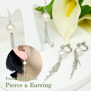 p[ sAX COi5369j tW ^bZ h W^ 9.5mm Vo[ fB[X uC_  p[eB[ v[g ̓ i[֔j