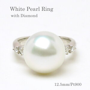 p[ Oi7222) ^ 12.5mm m^ w v`i Pt900@_Ch ̓  p[eB[ v[g 