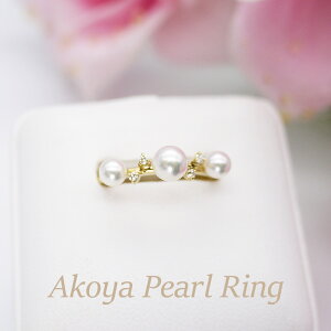 p[ Oi7278j w AR^ 4.0mm 5.5mm K18 18 S[h _Ch ̓  p[eB[ v[g 