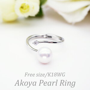 p[ O (7289jAR^ 8.0mm zCgS[h K18WG _Ch w t[TCY ̓  p[eB[ v[g 