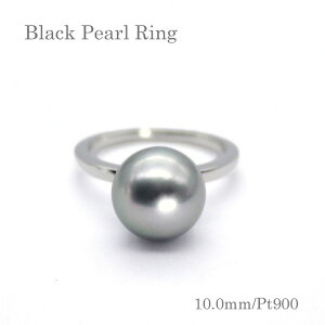 p[ Oi7301j ^ 10.0mm v`i Pt900 w ^q` ubNp[ ̓  p[eB[ v[g 