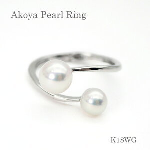 p[ O (7313jAR^ 5.5mm 6.5mm K18WG zCgS[h w t[TCY ̓  p[eB[ v[g 