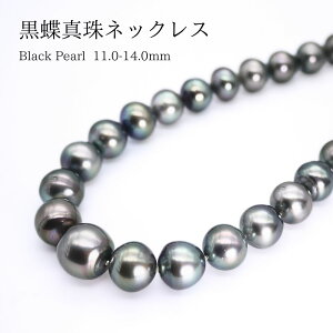 ^ 11.0`14.0mm p[lbNX (b1004jubNp[ ^q`p[  tH[} ̓ v[g ^썥 j 