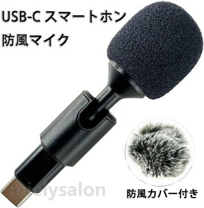 �������� USB-C �X�}�[�g�z���h���}�C�N (V/H Angle Mini Microphone) USB-C �C���^�[�t�F�[�X for iPhone and iPad/Android �X�}�[�g�t�H���Ȃǂ� USB Type-C �R�l�N�^�@��ł̘^�� �r�f�I�^�掞 �I�[�f�B�I���^(