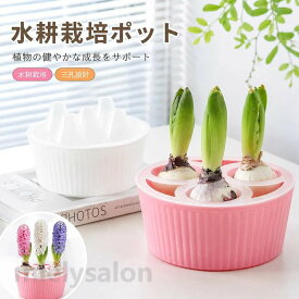 送料無料 水耕栽培 ポット 三孔設計 ヒヤシンス 球根 水栽培セット 3穴ヒヤシンスプランター 専用水耕栽培プランター孔 花球根用ア鉢 観葉植物鉢対応 チューリップ ヒヤシンス 水仙 鉢植え花 えバスケット 育成用 ガーデナー アパート 初心者 室内 窓辺
