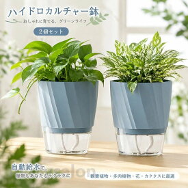 送料無料 植木鉢 ハイドロカルチャー 鉢 水耕栽培 観葉植物 2個セット 自動給水 給水ひも付き プラスチック プランター 底面給水鉢 室内観葉植物 水耕栽培 リビング デスク キッチン トイレ 玄関 室内 多肉植物 花 カクタス用