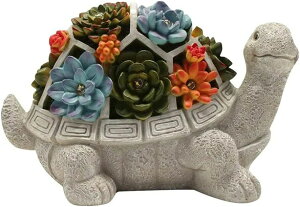  v[g 킢 ϋv h  ZT[ uCg K[fjOIuWF K[fI[ig J