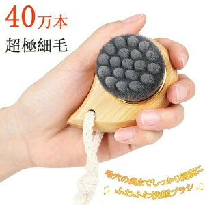 �玉 �ь����� �P�A �l�܂� ���� �ь� �A��� 40���{ �ɍז� �ь��u���V ���� �t�F�C�X�u���V �X�L���P�A