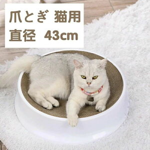 Lxbh ߂Ƃ _{[  lR xbh  ~` ی^ ybgpi _{[ i{[ ߌ