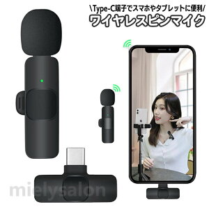 �������� ���C�����X�s���}�C�N Type-C �~�j�}�C�N ���� iPhone iPad Android �X�}�z �X�}�[�g�t�H�� �N���b�v�� �^�C�s���^ ���^ �R���p�N�g �y�� ���z�M ������ ���C�u ����B�e ��c �C���^�r���[