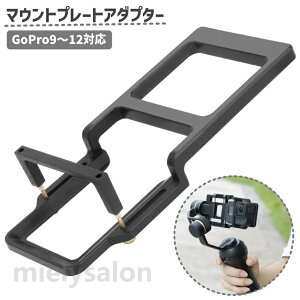 �������� �}�E���g�v���[�g�A�_�v�^�[ �A�N�V�����J�����p GoPro9 10 11 12 13 �X�^�r���C�U�[ ���B��_ �X�}�z�p�W���o�� ���� �B�e�p