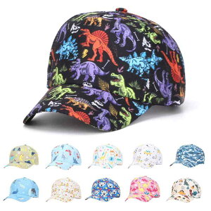 Xq qp tH Lbv 킢   Aj} 悯 싅X 