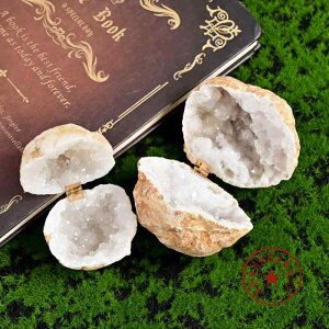 wփP[X VR   WG[{bNX ANZT[[ WIg 􉽊w͗l bR Mtg