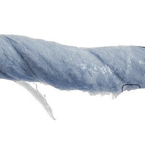 ^I jp p sARbg n tFCX^I \tg z  34×72cm zCg sNn u[ L uE