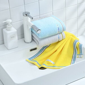 ^I  n 100 \tg z  tFCX^I CG[ u[ O[ 70×34cm