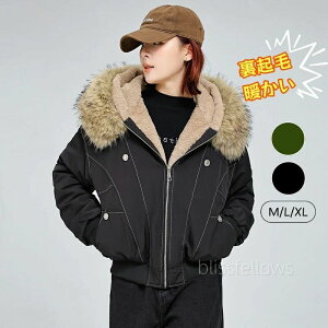 bYR[g fB[X ~ {A bYR[g fB[X ~^[R[g u] Wp[ R[g Wp[ ~ ^~