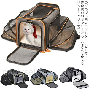 �y�b�g �L �L�����[�P�[�X �� �P�[�W �h�� �L�����[�o�b�O ������� ��� �L�����[�o�b�O ���� �V�����_�[ �L�����[ �T�[�N�� �Q�[�W �h�� ��� �e���g ���o���� ���s ��������