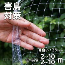 楽天市場】単管パイプ 2.5m（防鳥ネット｜防鳥・防獣用品 