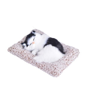 �y���������zMies' �����Y���菬���Ȗ����Ă���L�A�N�Z�T���[ �ԗp ���L�� �ʂ�����ݔL �u��, �����Y200g����, �C���e���A �����i �l�C