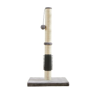 yzMies Lp܂Ƃ|[, 78cm, TCUf, {[t, cƂ Lbg^[ t LуuVt ybgpi L qL ˂ lR