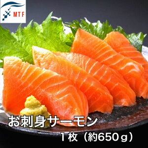 hgT[ 650g Ⓚ T[ g hg `Y ⓀT[ gEgT[ Mtg H C ȂT[ Ȃ hg hg i T[T_ T[ i 