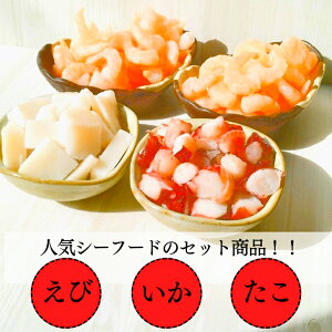 lC V[t[h 3Zbgy  2  1  1 z ⓀV[t[h~bNX ⓀCN~bNX Ⓚ  lߍ킹 Ⓚ Zbg ⓀCV  CNZbg bbq 