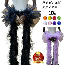 社交ダンス用アクセサリー もこもこの毛袖飾り フロート袖飾り オーストリッチフェザー レッスン着 舞台衣装 ステージ衣装 袖口 ズーク ダンス小物 モダンダンス アルゼンチンタンゴ ラテンダンス 競技 練習 サルサ タンゴ パソドプレ レッスン 舞台 海外通販