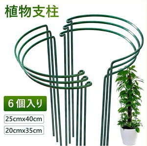 植物支柱 6個入 花ささえ 園芸支柱 植物サポート ココナッツ 観葉支柱 観葉植物 つる性植物 観葉支柱 誘引 支柱 半円形25cmx40cm 20cmx35cm 簡単設置 花支え 支柱棚 連結可能 フラワー支柱 ガー
