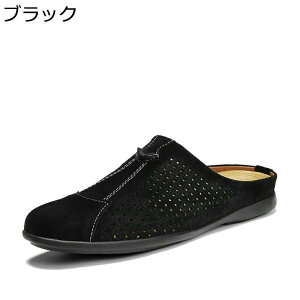 rWlX T_ Y {v bVH rWlXV[Y ƂȂvC [t@[T_ rWlXXbp ʋC y T{ JWA T_ d ʋ f Ȃ h