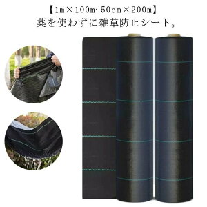 hV[gm×mcm×m V[g [ Gh~V[g  h V[g _pV[g UVܓ lH G Ő   ԏ 悯 Gh~ G΍ Ȃ _ |p K[fjO 