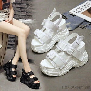 yzfB[X X|[cT_ T_ ʋC RtH[g q[12cm CuV[Y X IV ؍t@V r[`