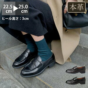 [t@[ C fB[X EhgD 3cmq[ {v R L y _炩 炭 Vv ~ _炩 d d ʊw ʋ ItBX w Ǝ ̂  u