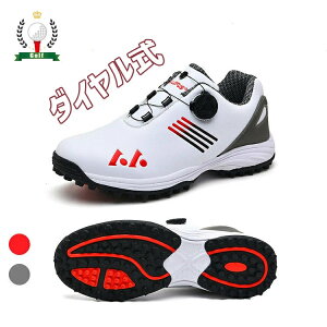 Z[ StV[Y  Y _C Xj[J[ 傫TCY 28.5cm 4E L _CXpCNX tBbg V[Y St y ₷ h ϋv K XpCN