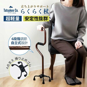 y̓ʏiz   4_  0.8kgy オ 6iK A~  _ l_    j XebL v[g 4_  nr s⏕ 