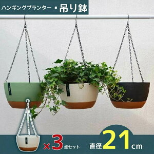 ݂蔫 Aؔ nMOoXPbga21cm 3_ZbgǊ| ݂邷 ݂艺  ϗtA   X fBXvC X A ꌊ